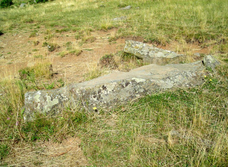 Guarrinza zutarria