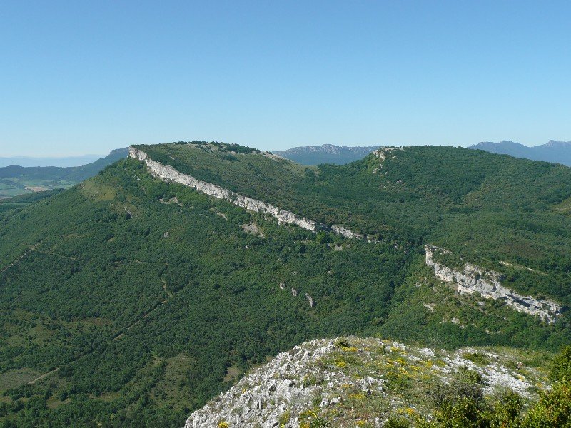 Soilatik
