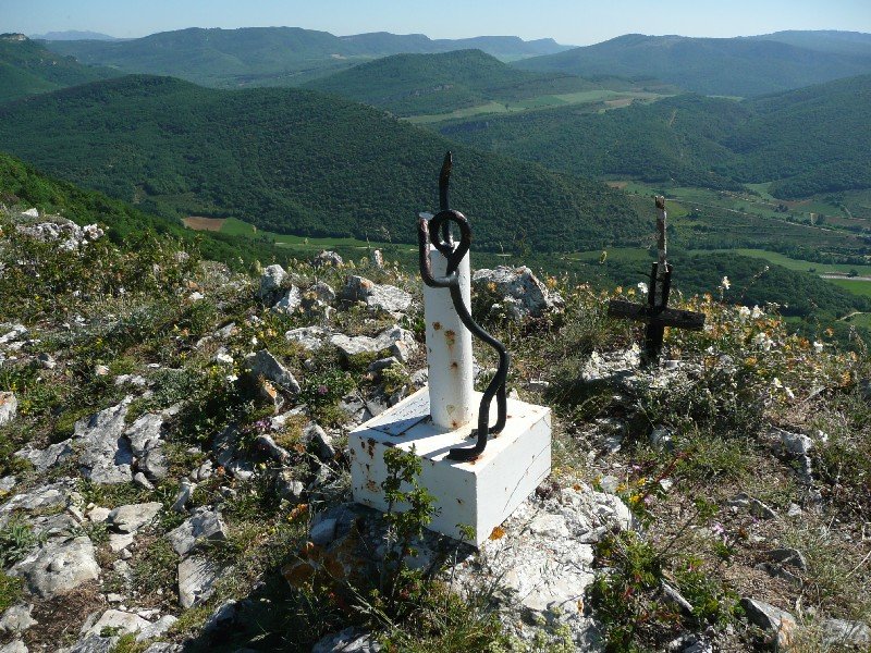 Buzoia