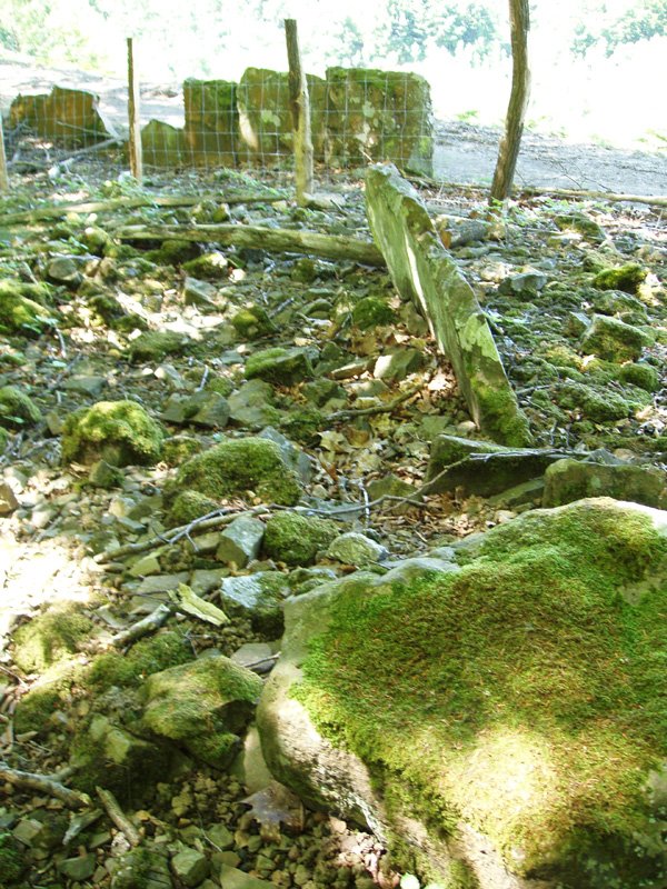 Suspiru trikuharria