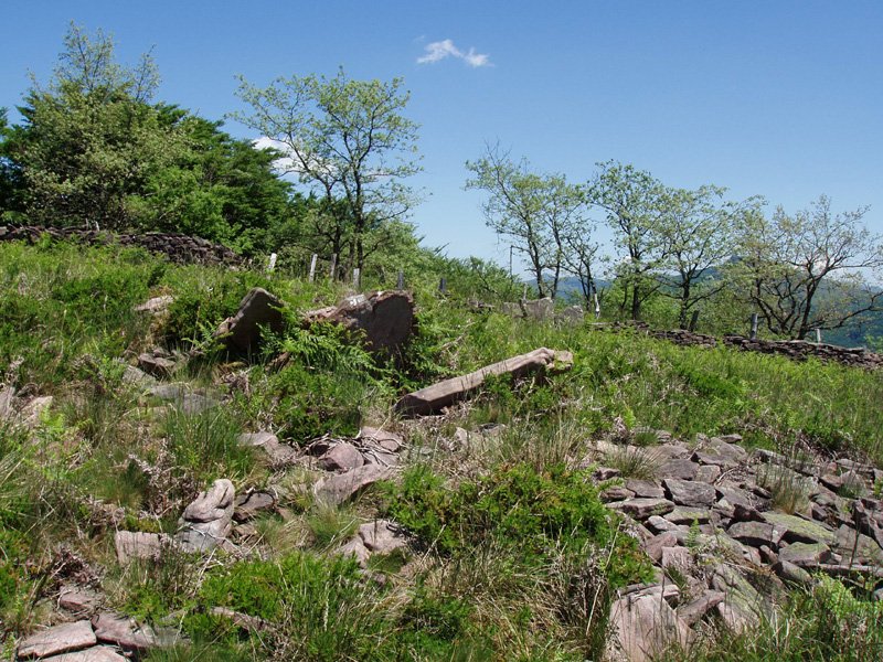 Mallurketa