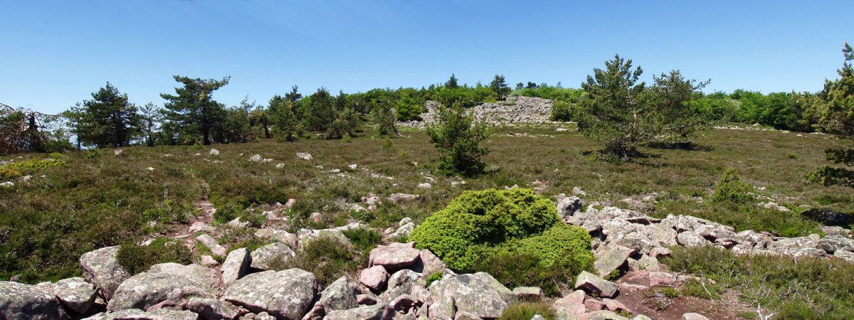Baigurako gainaldea