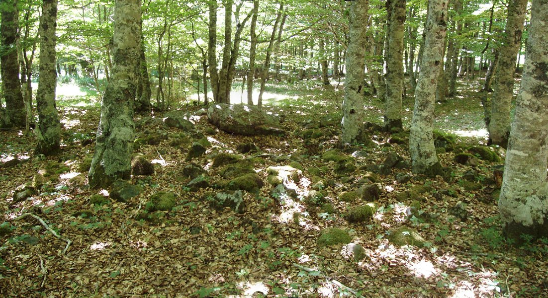 Urdinaga