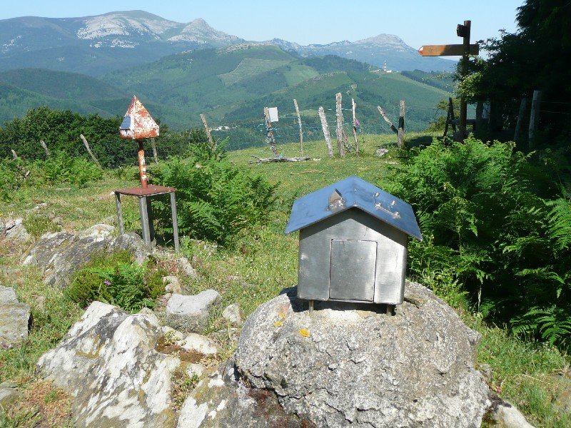 Buzoiak
