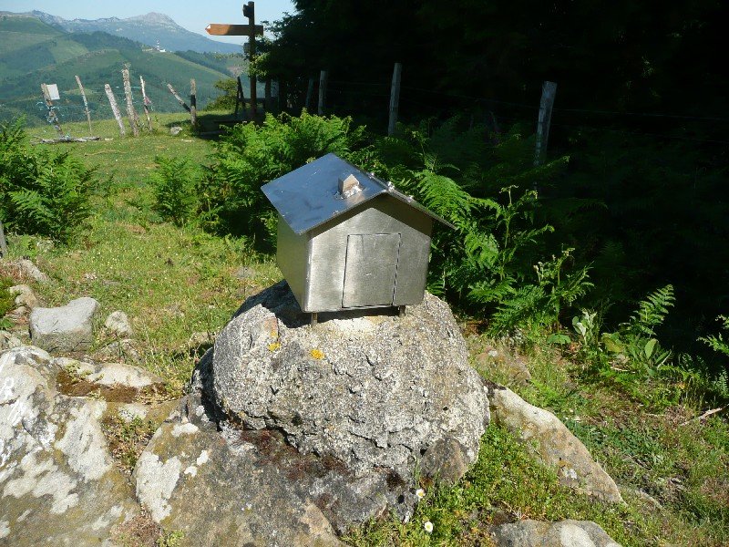 Buzoia