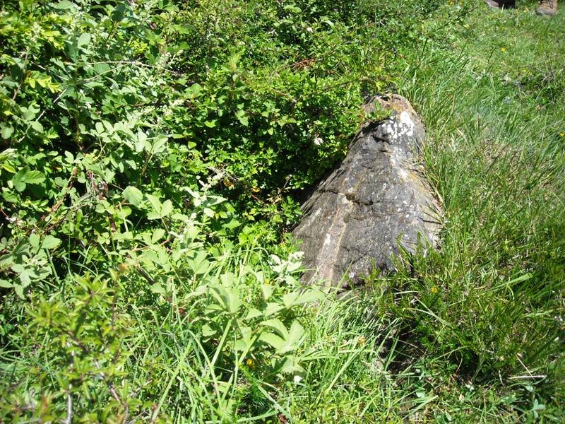 Zanaz 1 trikuharria
