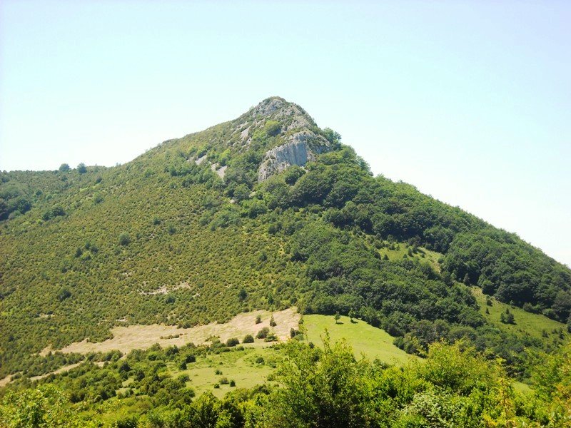 Zanaz  lepotik