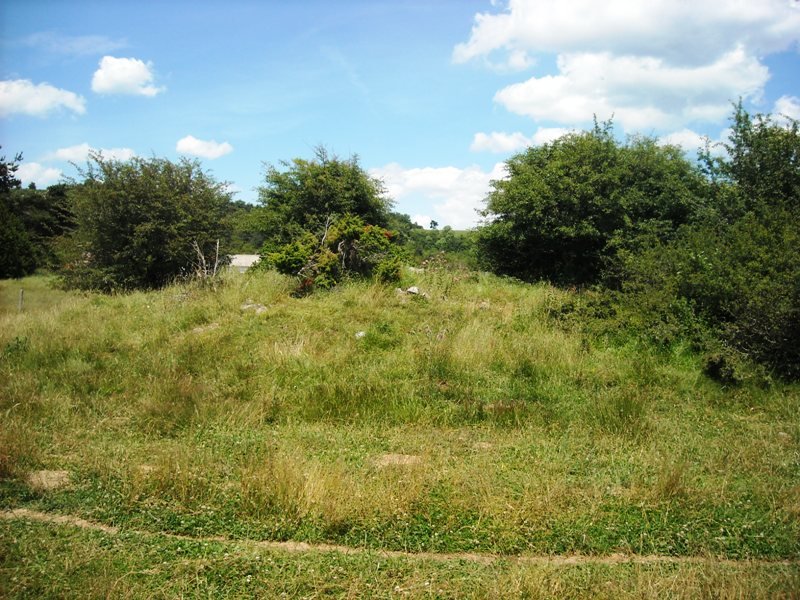 Llano de Erremendia trikuharria