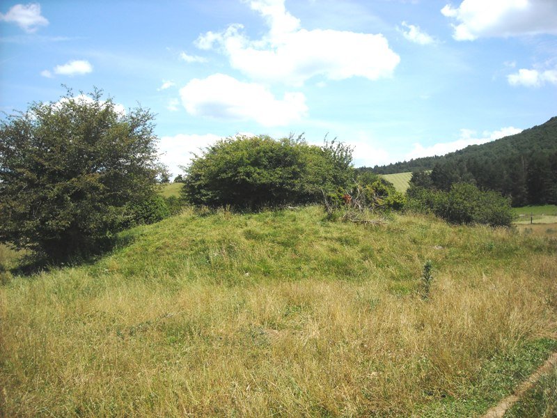 Llano de Erremendia trikuharria