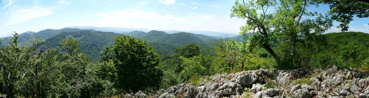 Panorama Arlengo Harriko iparraldeko gailurretik
