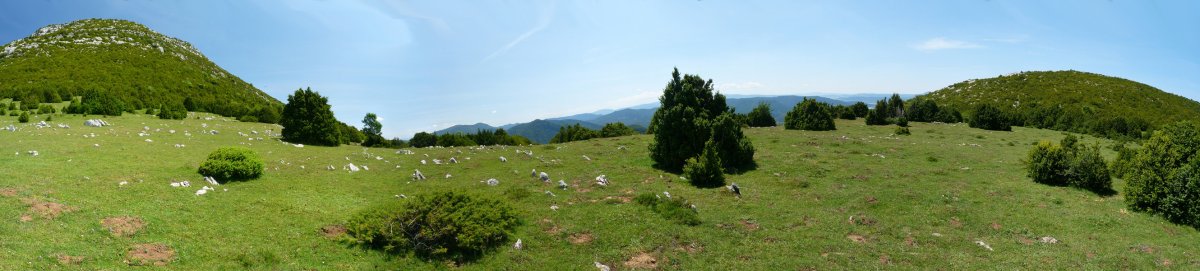 Elkezelai