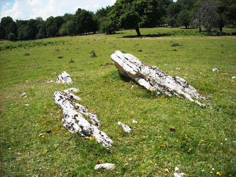 Larreaundi