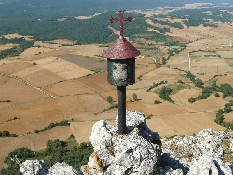 Buzoia