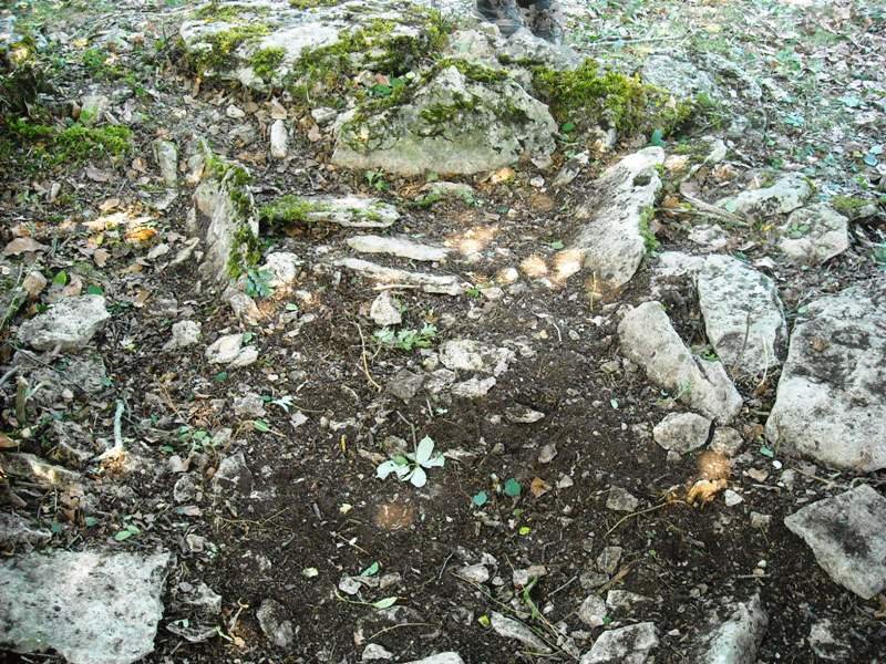 Saguain 2 