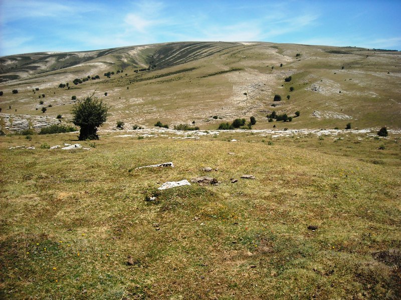 Izpia  4
