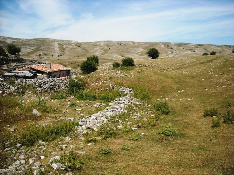 Laskardi