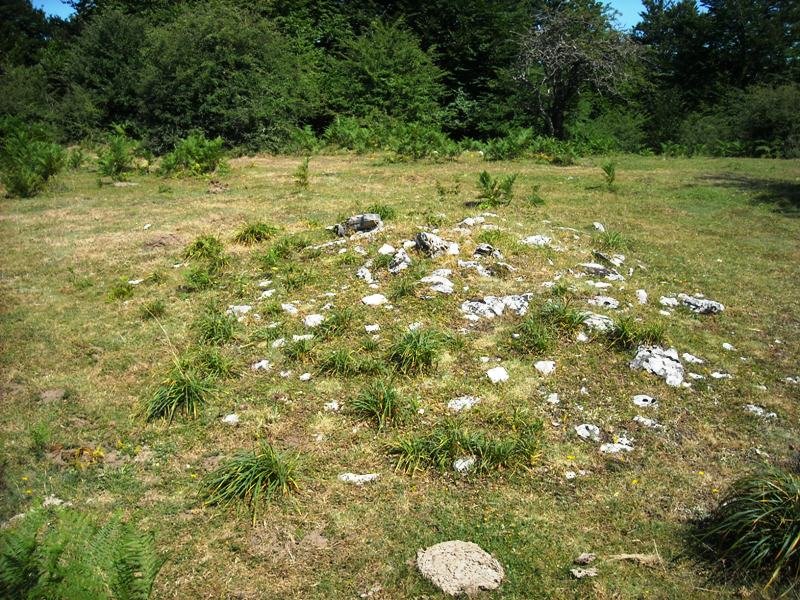 Siasmuno