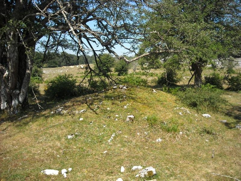 Raso de Auntzusta
