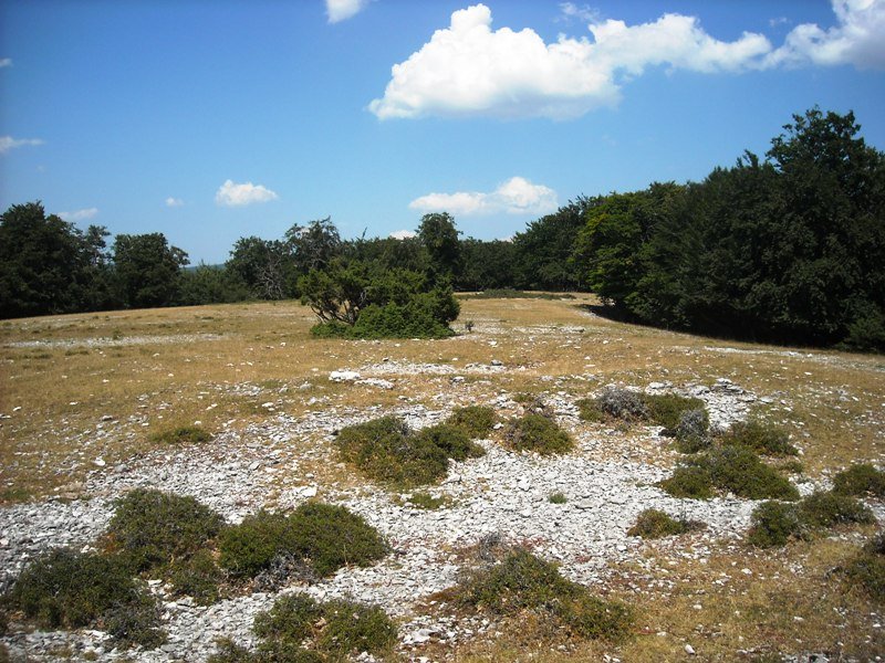 Zelaizaranako Gaña