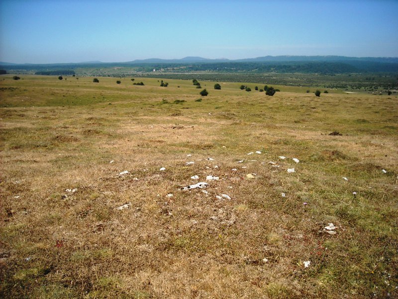 Camino de Arratondo hego
