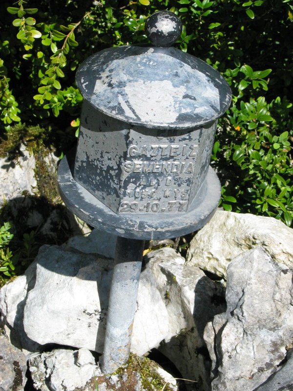 Buzoia