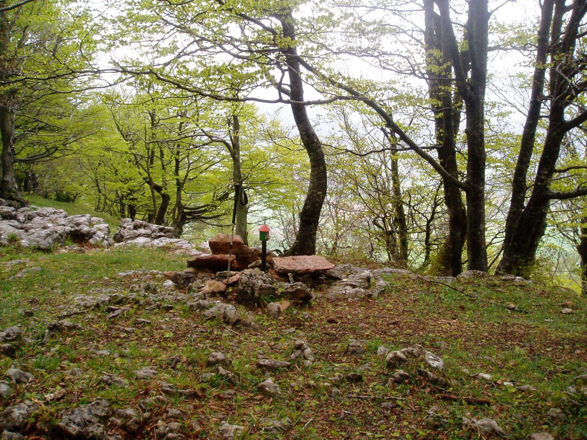 Abitigarra