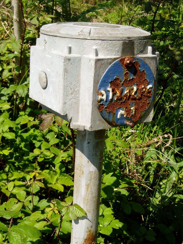 Txartelontzia