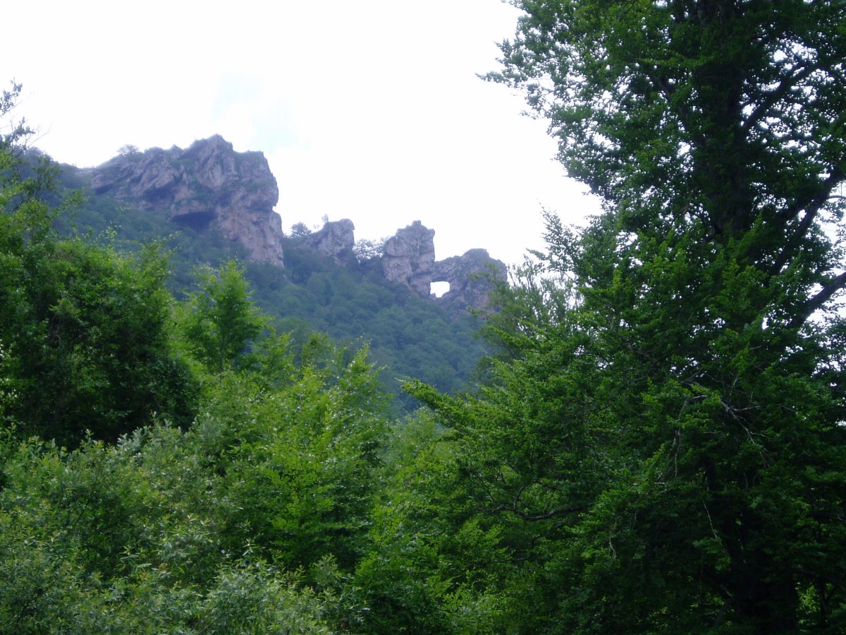Hiruhaitzeta
