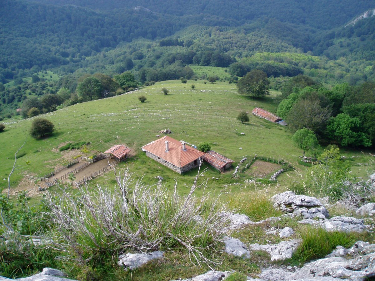 Txutxuta