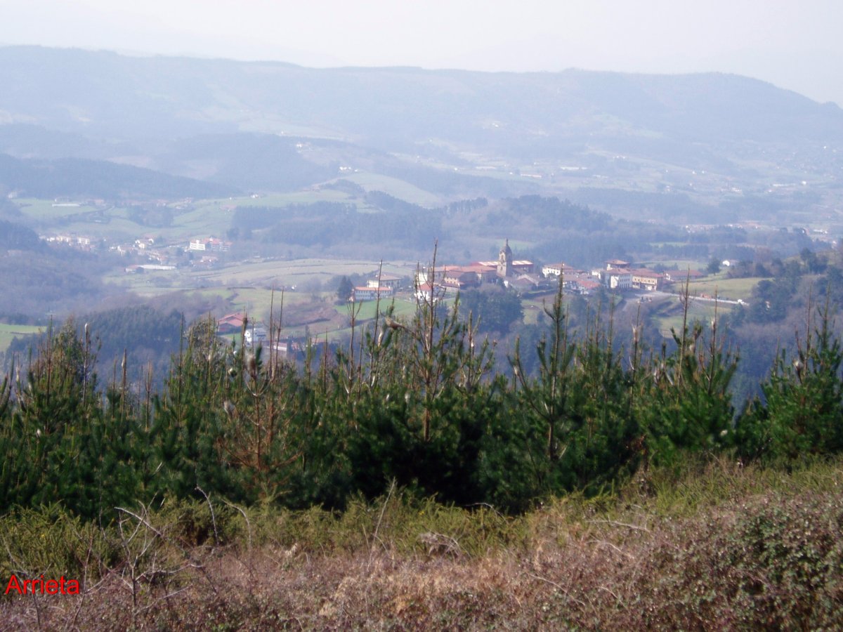 Arrieta