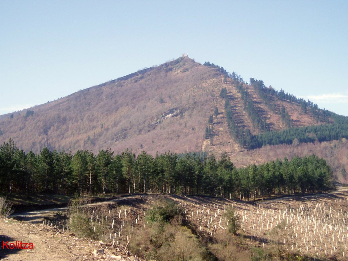 Kolitza I.etik