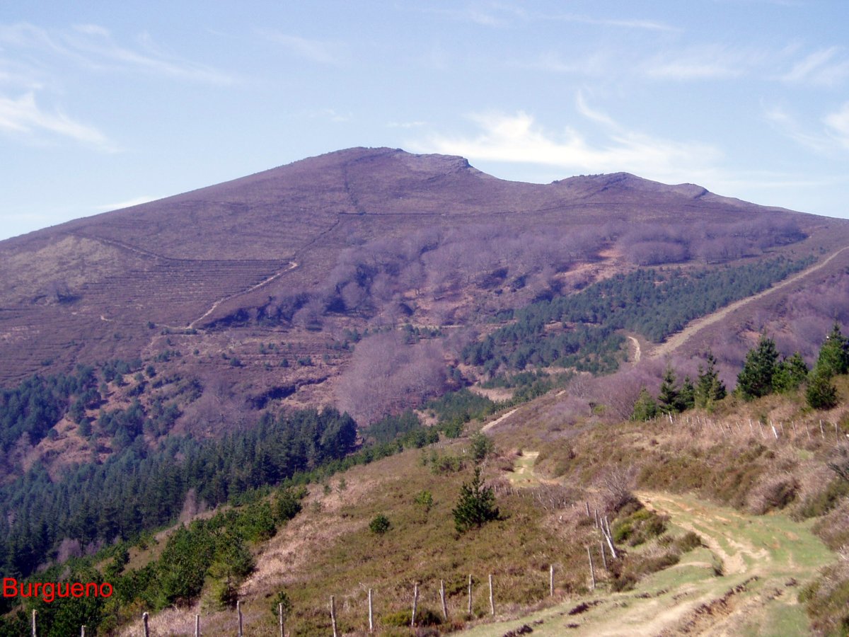 Burgueno I.aldetik