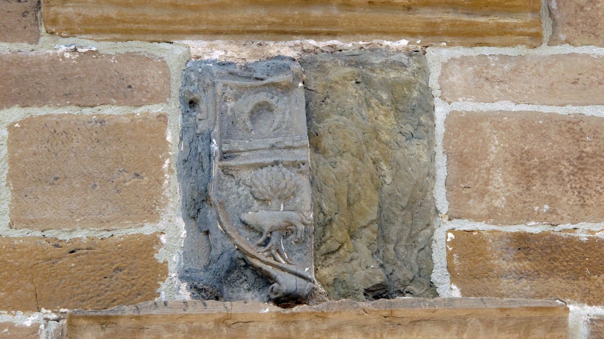Armarria