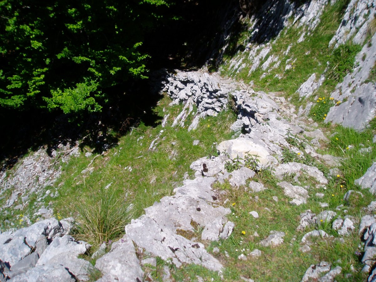 Astobidea