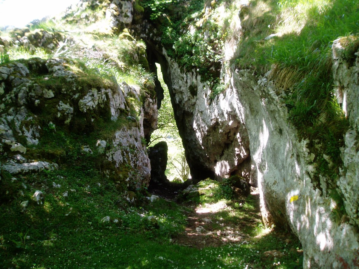 Atxulo