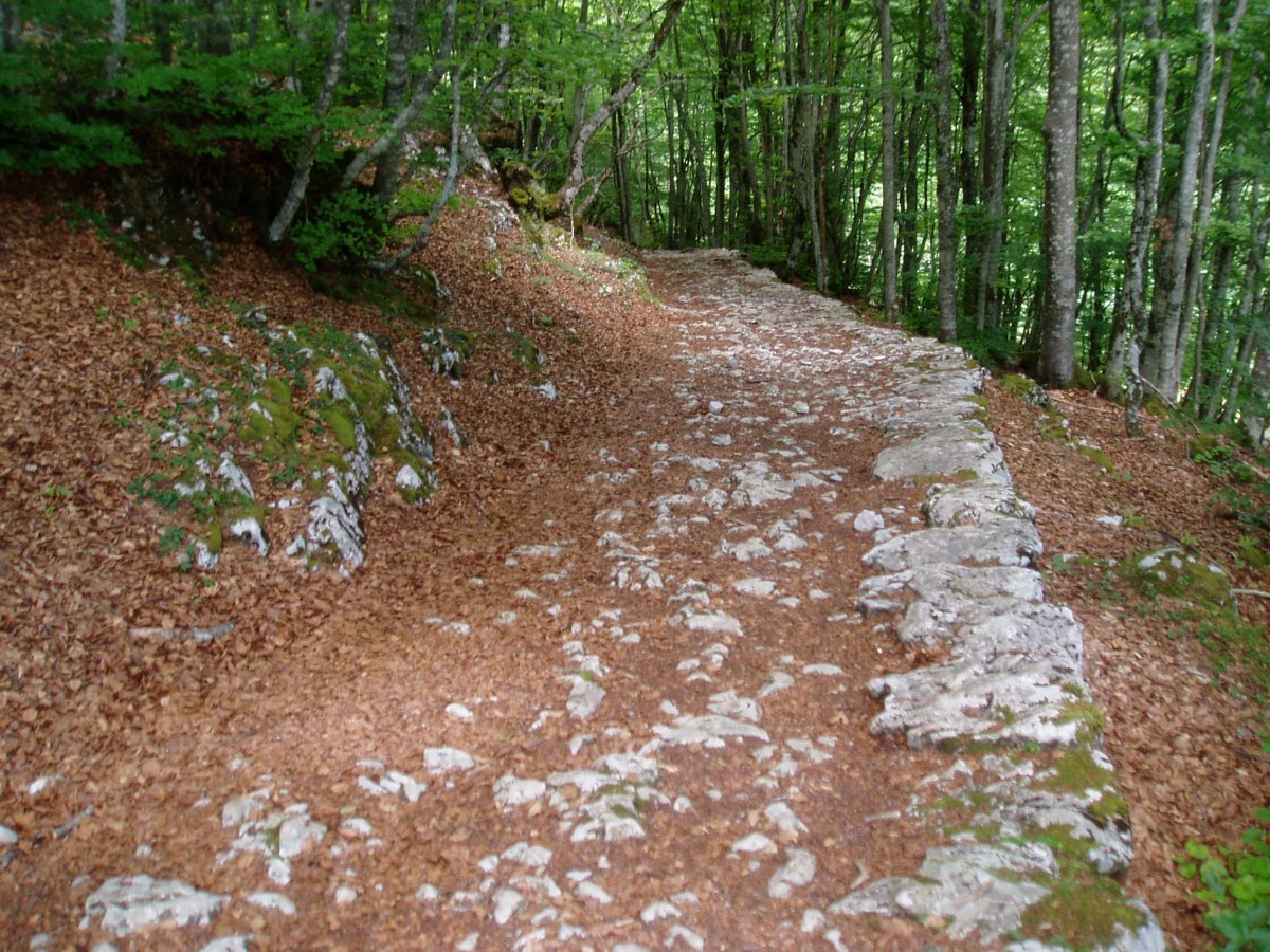 Kaltzada