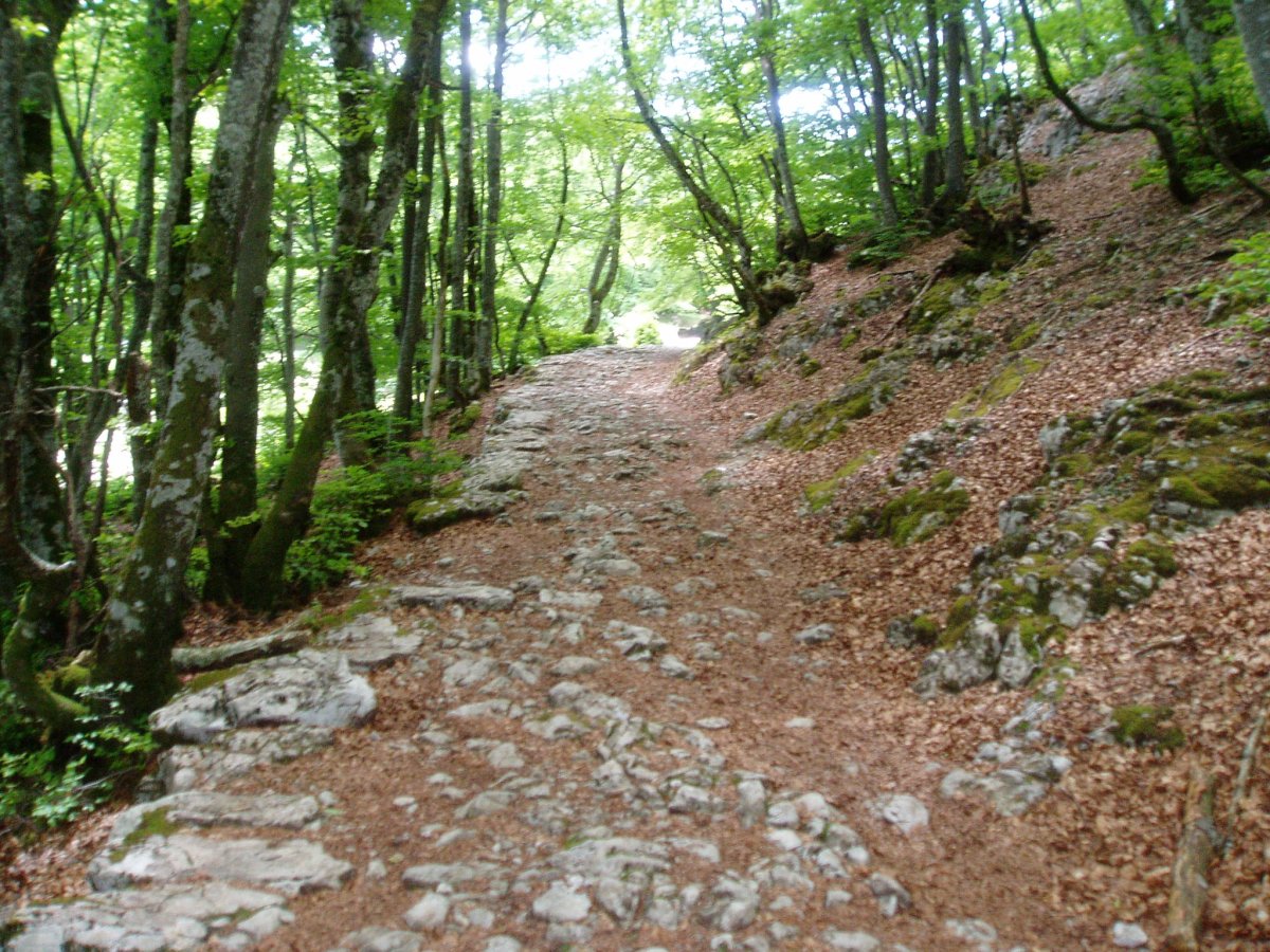 Kaltzada