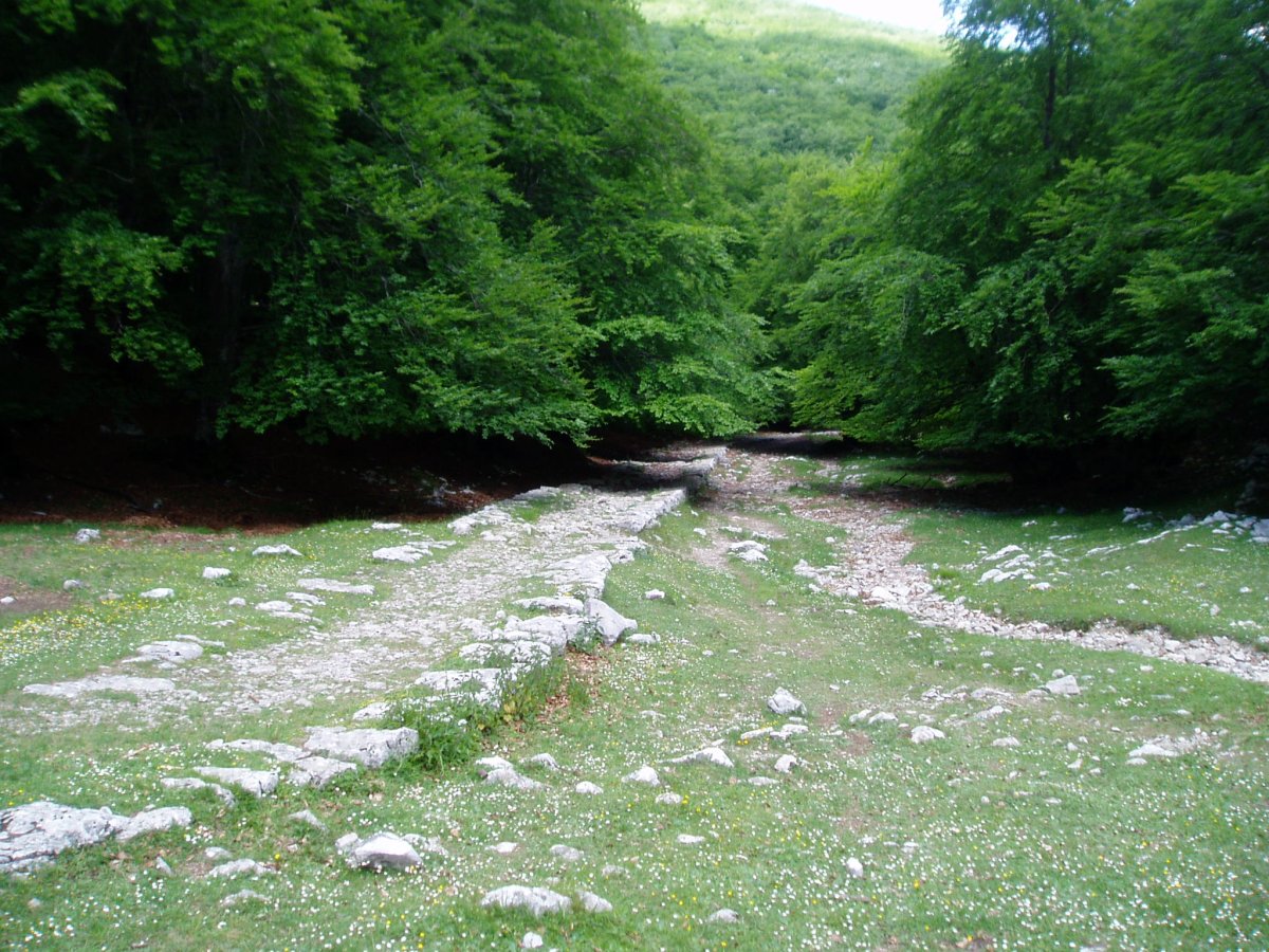 Kaltzada