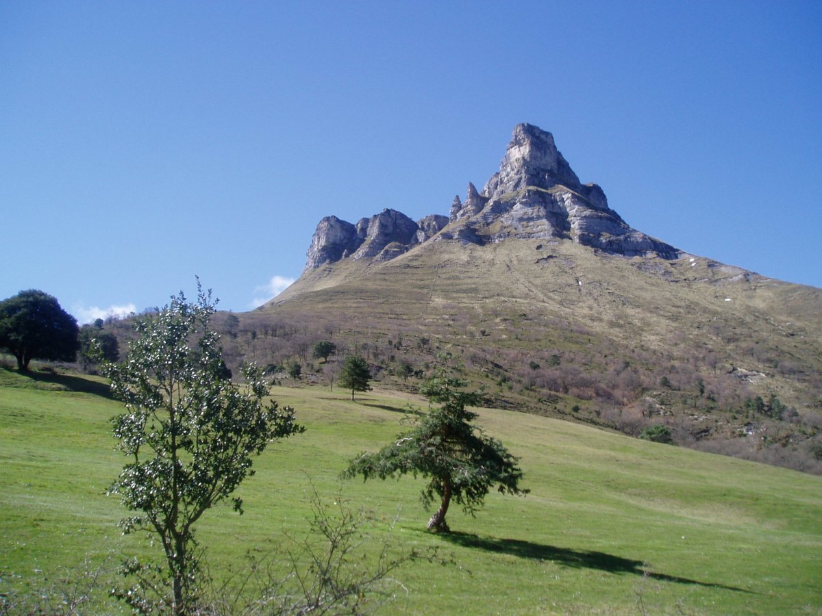 Tologorri