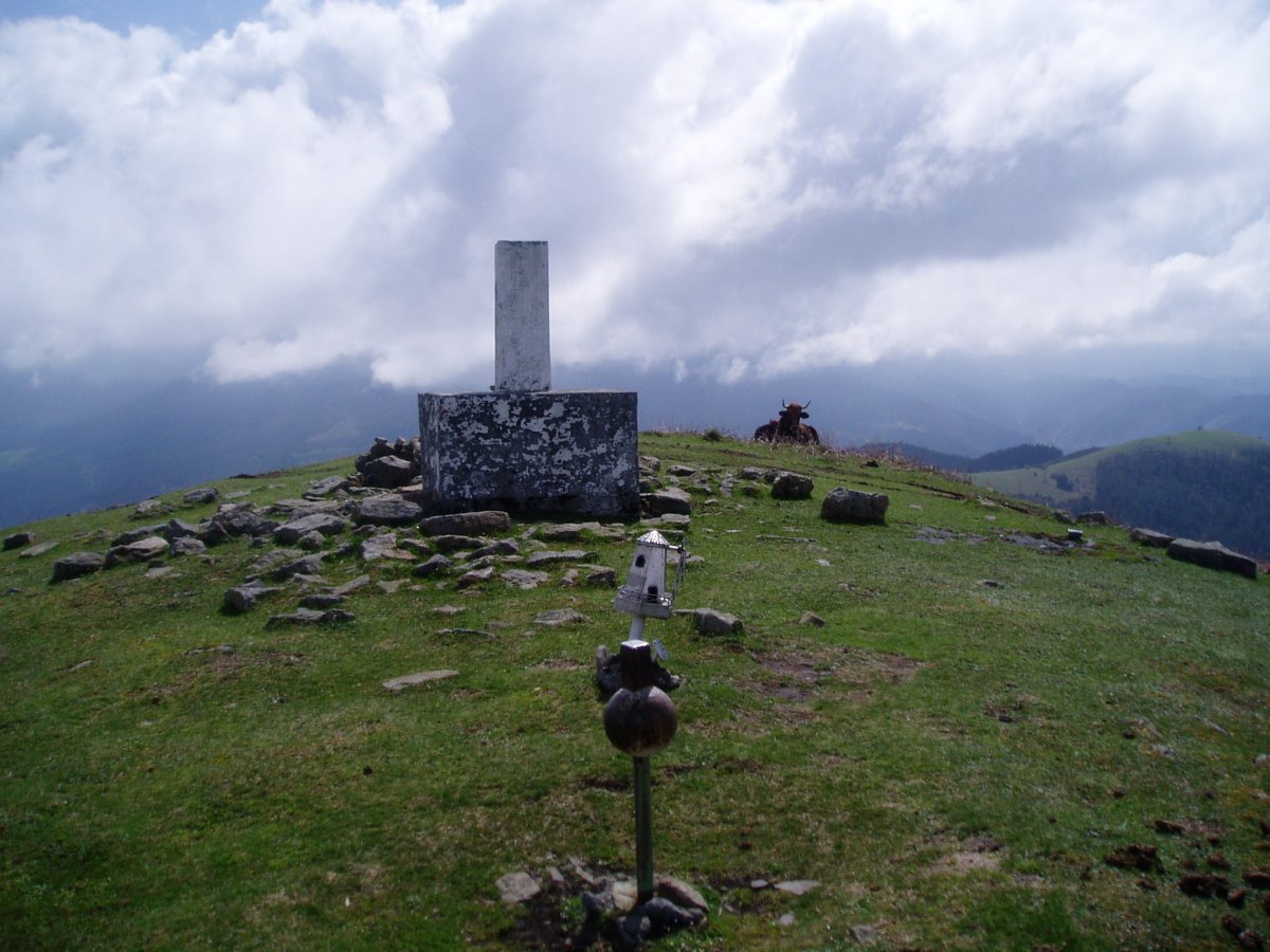 Larragorri/Jesuri