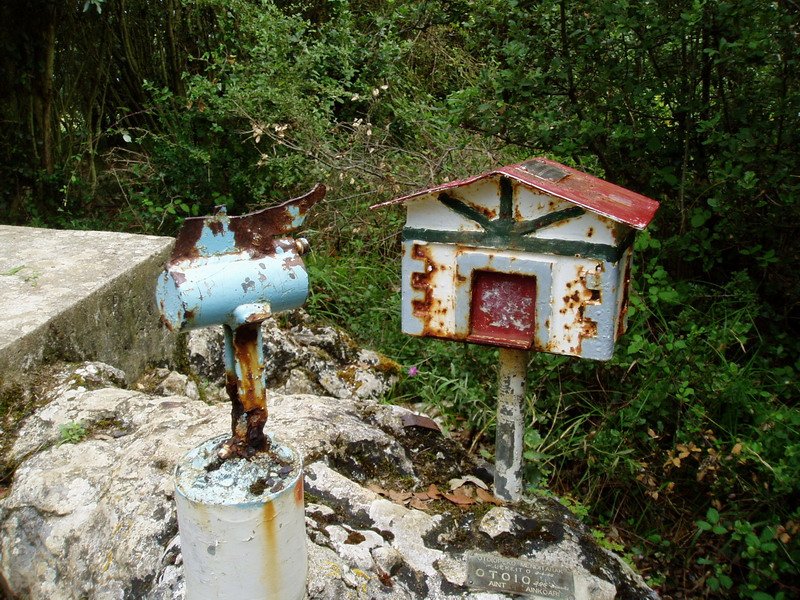 Txartelontziak