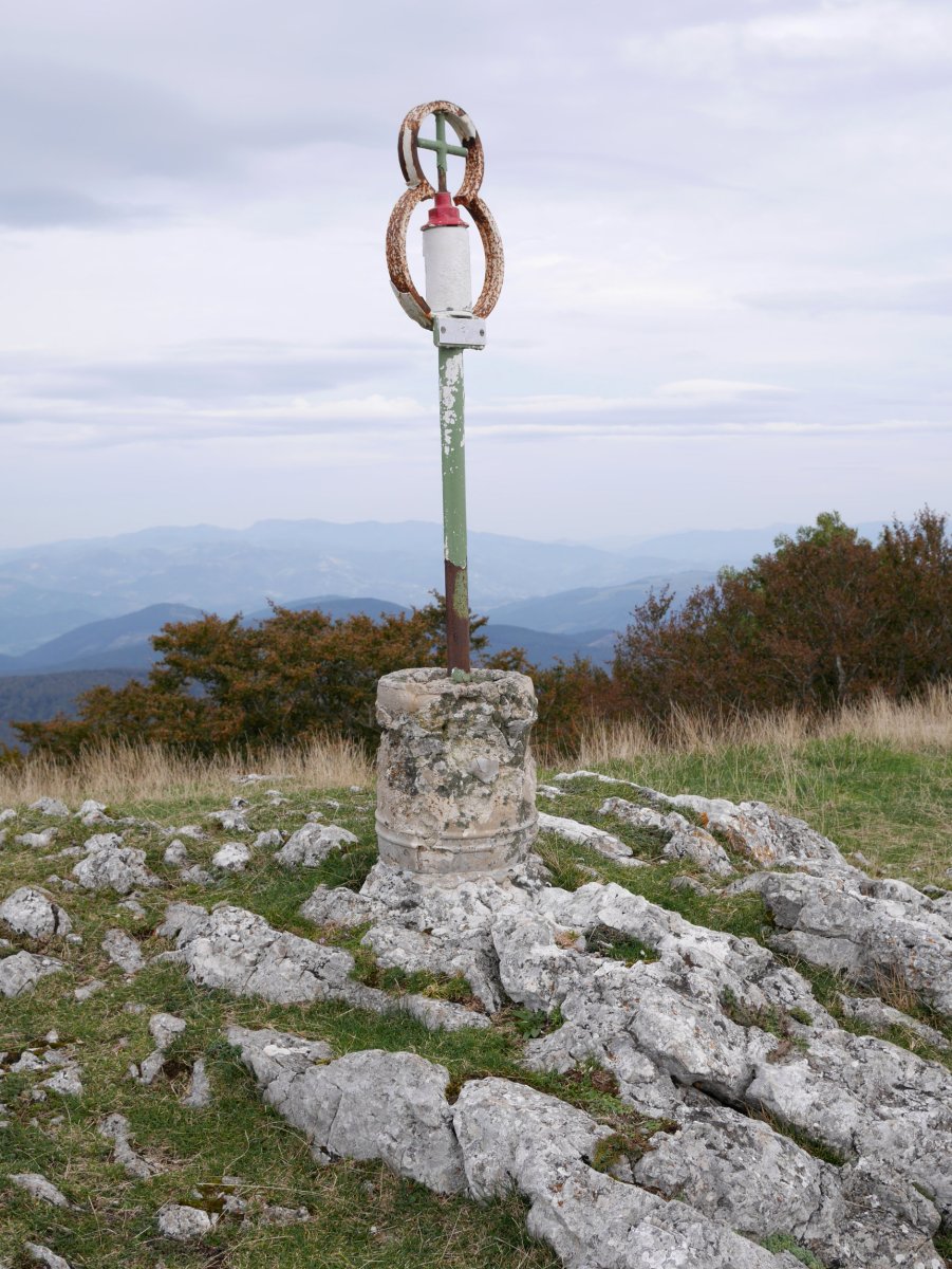 Txartelontzia