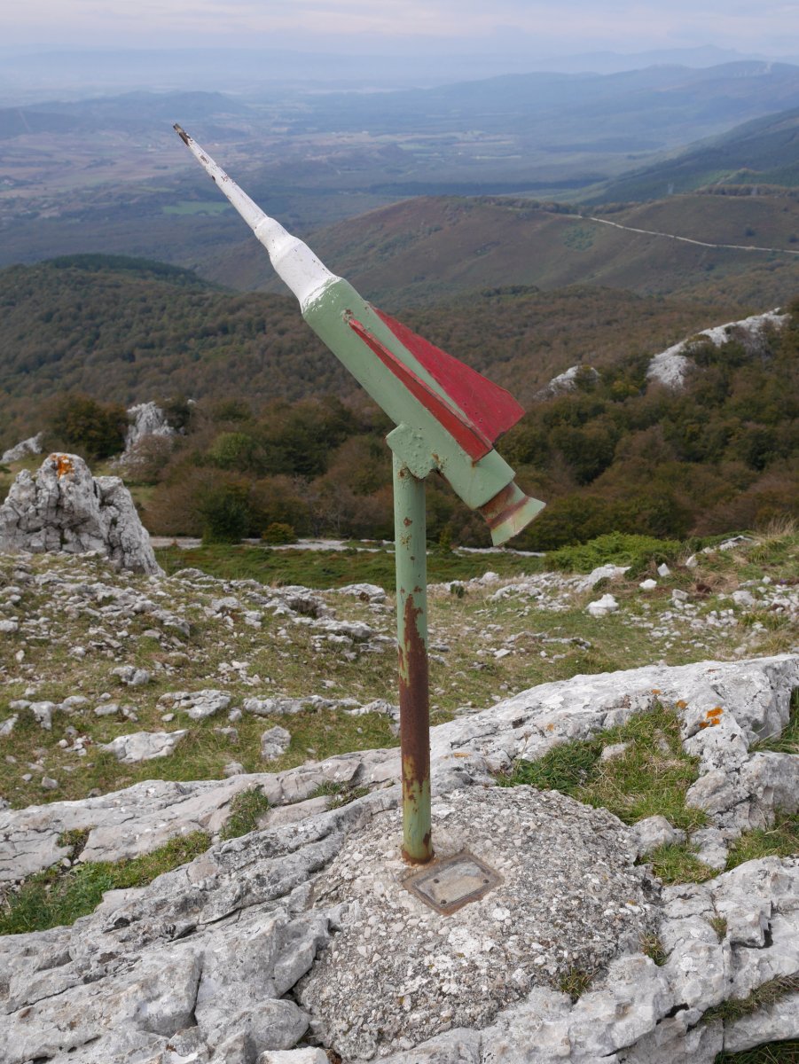 Txartelontzia