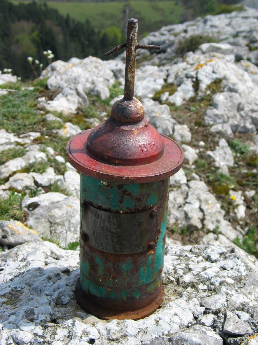 Buzoia