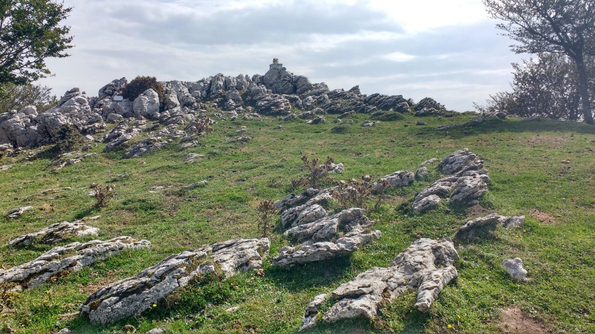 Aranguren tontorra