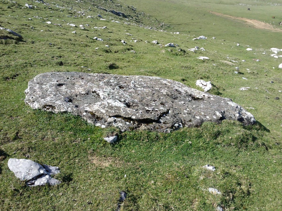 Irazustako lepoa zutarria 4