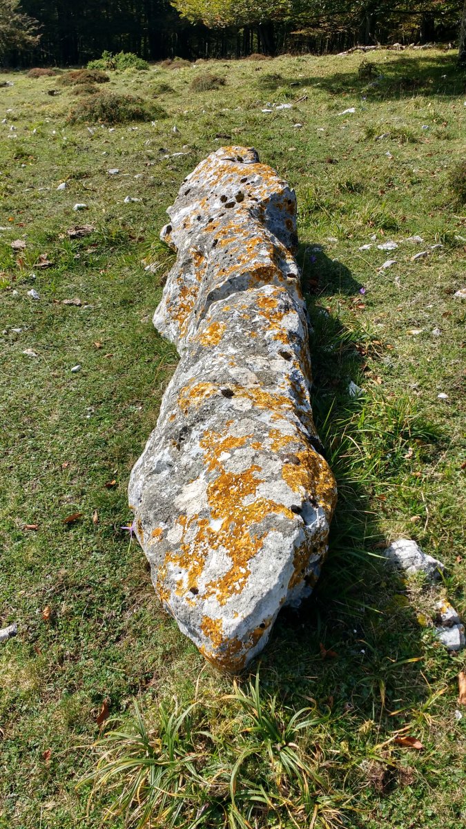 Aginan zutarria 4