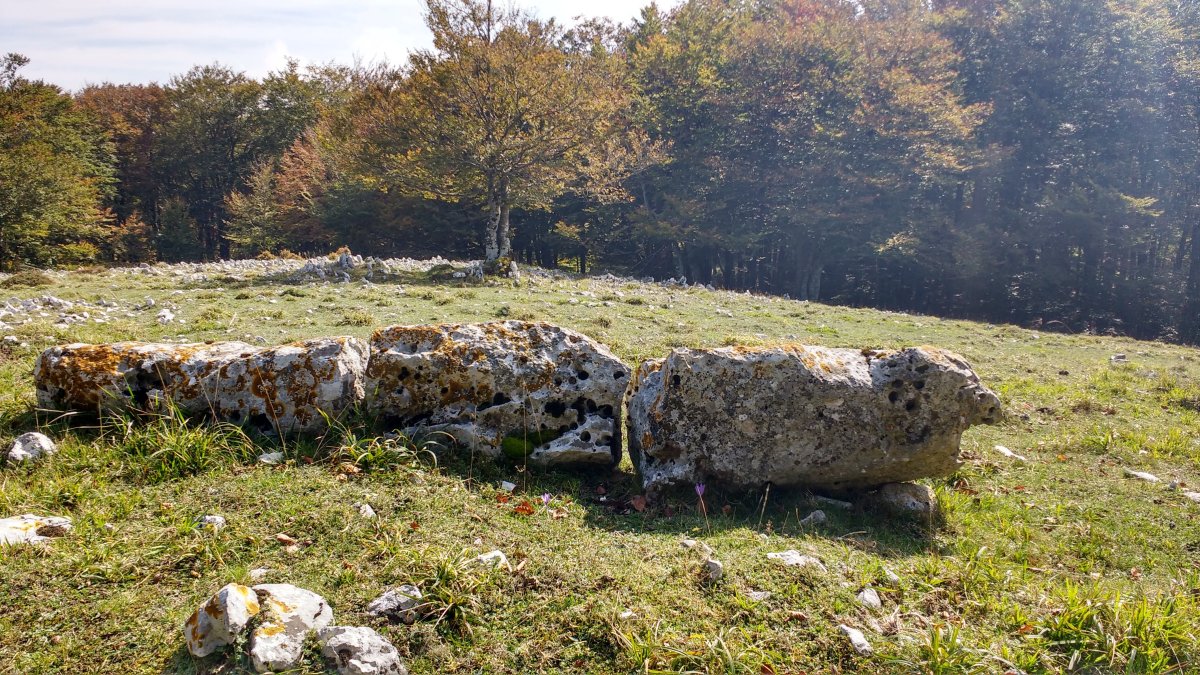 Aginan zutarria 3