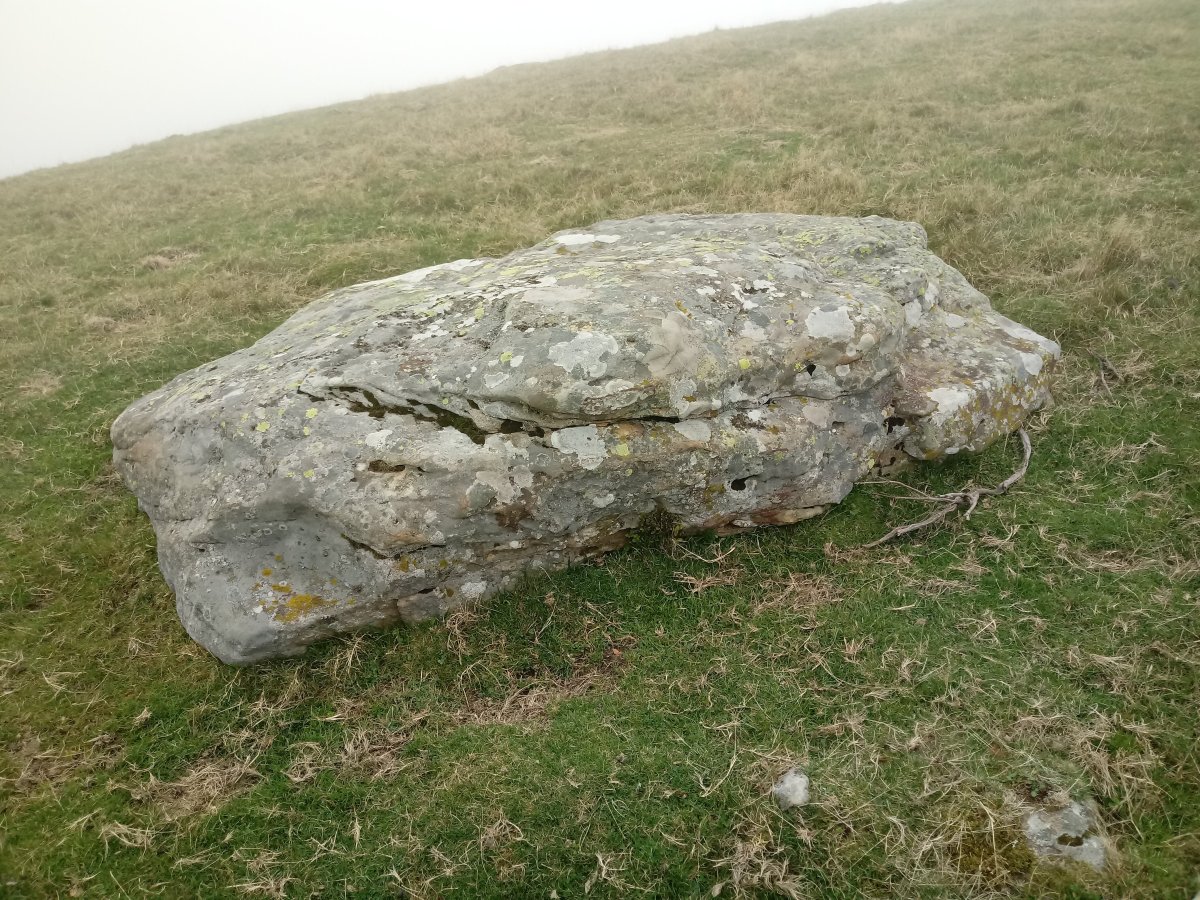 Pinpil I zutarria 3