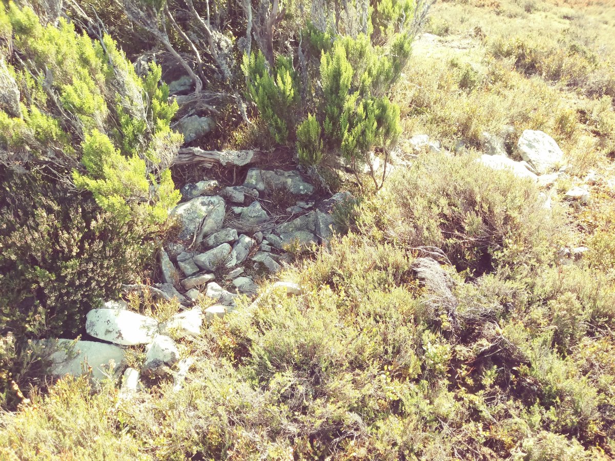 Arroriano tumuloa 2